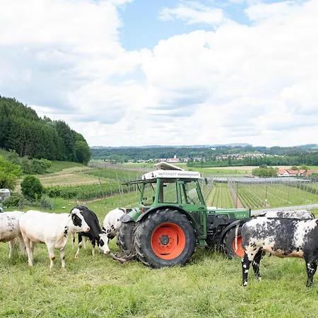 Daire Biegger Tettnang