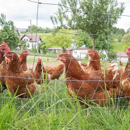 Biegger Appartamento Tettnang